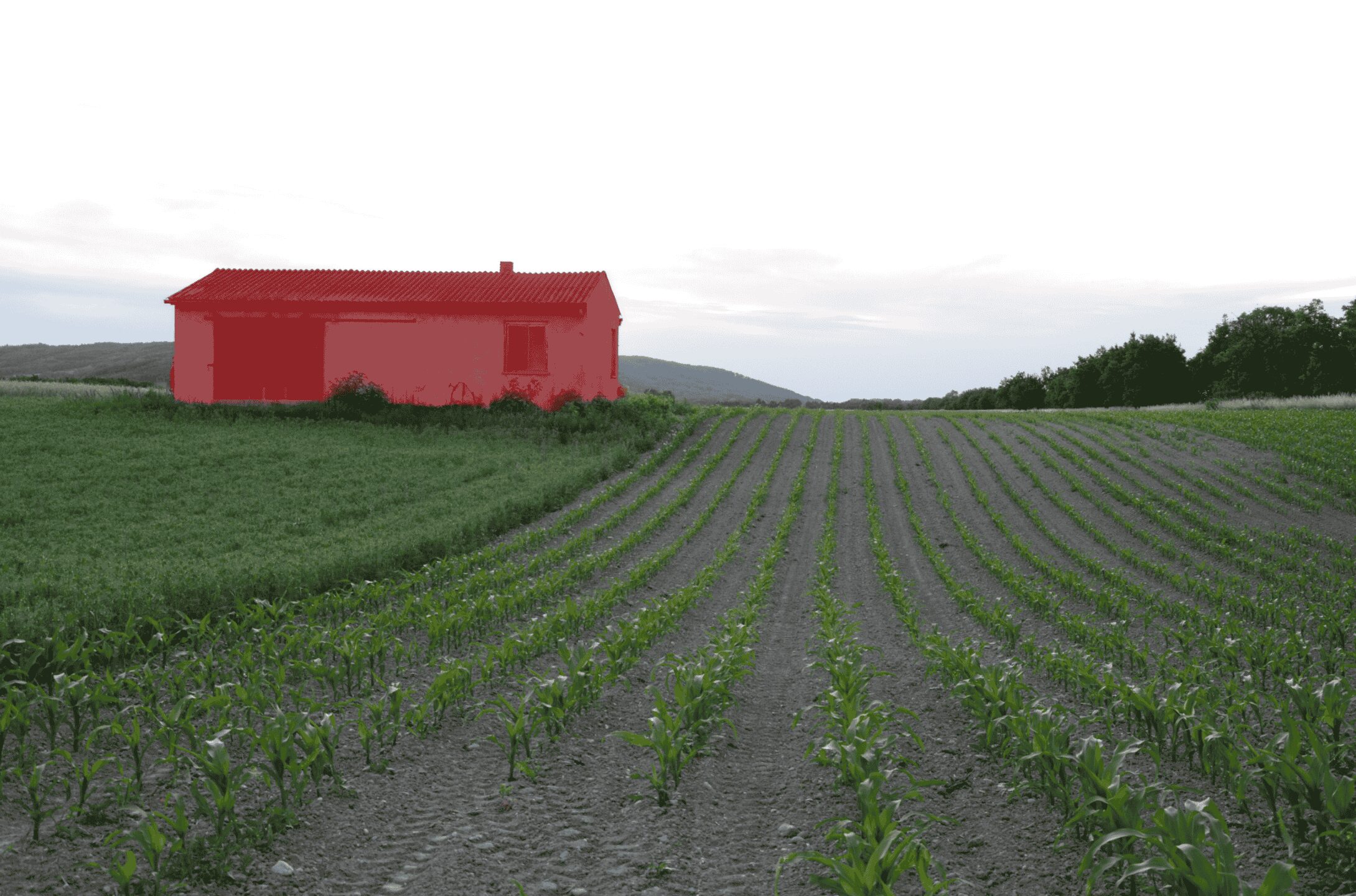 umela inteligencia vo fotografii oznacovanie subjektov